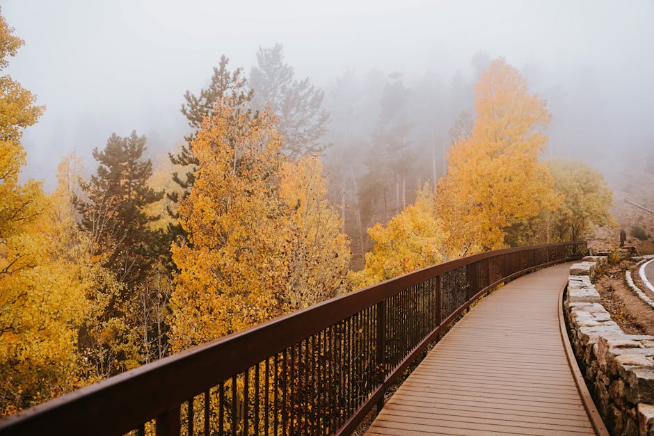 Putevi promjene kako se nositi s neočekivanim