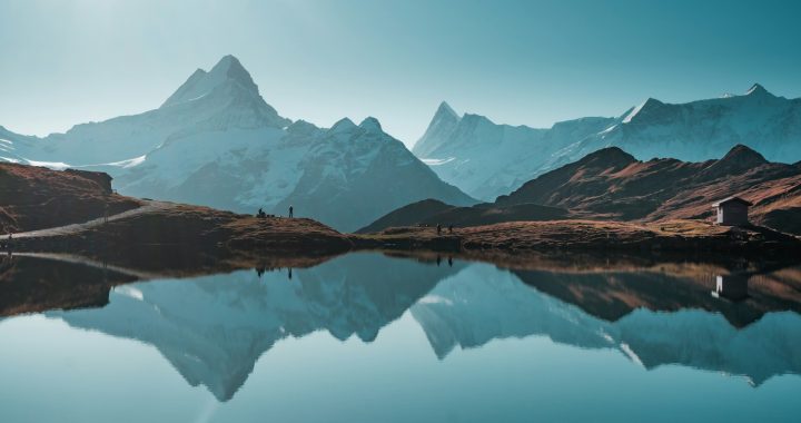 Priročnik za digitalno razstrupljanje v objemu narave