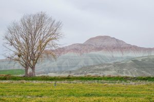 Tajne dugovečnosti planinskog vrha gde mladost živi večno