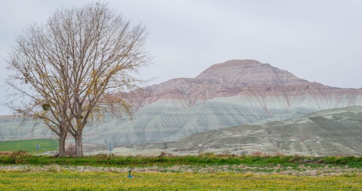Tajne dugovečnosti planinskog vrha gde mladost živi večno