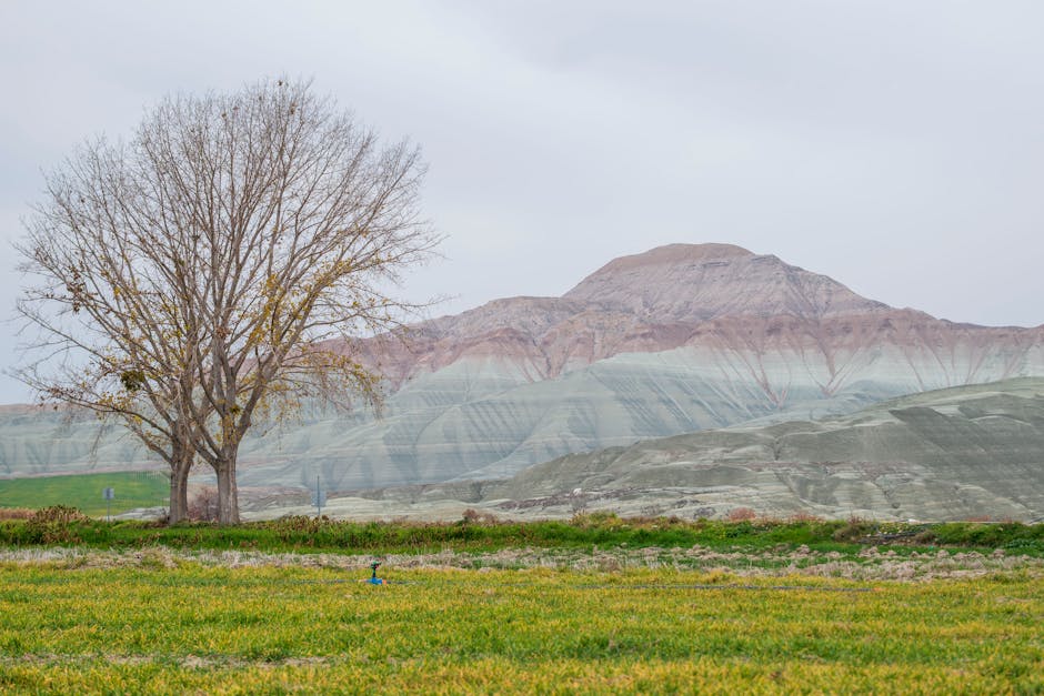Tajne dugovečnosti planinskog vrha gde mladost živi večno