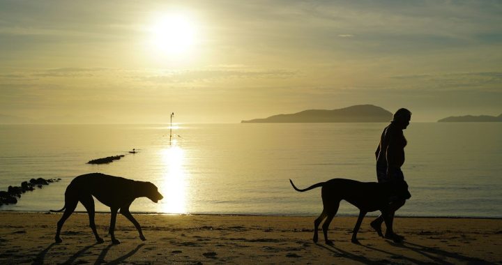 Proširivanje vidika izvan uobičajenih navika