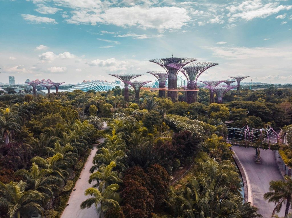 Zeleni Prehod