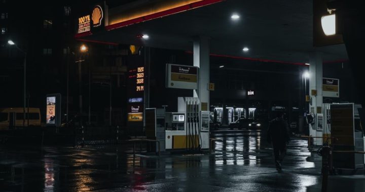 Uticaj energenata na životni standard porodice u Srbiji